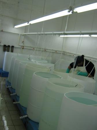 IMG_1984.JPG
