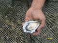 S7300480