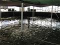 IMG_0037