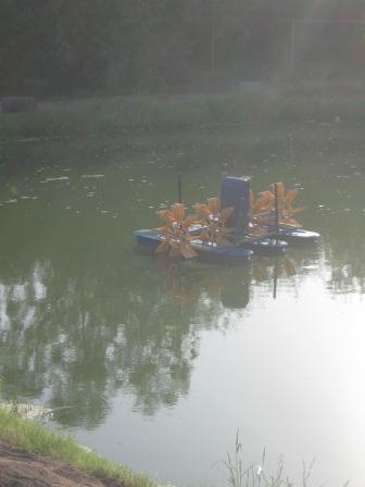IMG_1398.JPG