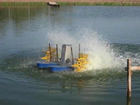 IMG_1400.JPG