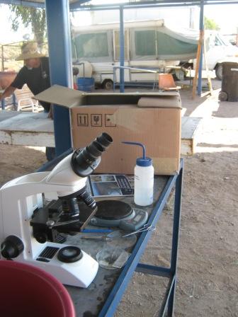 IMG_1375.JPG