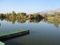 IMG_0780